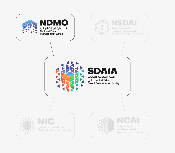 تنفيذ وتطوير ضوابط إدارة البيانات الوطنية (NDMO) | شركة RMG