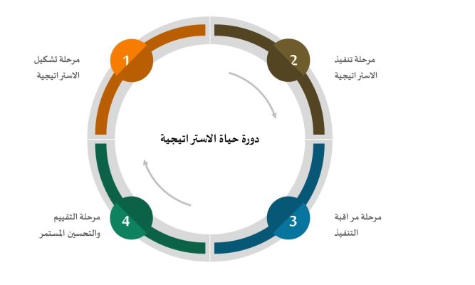دورة الحياة